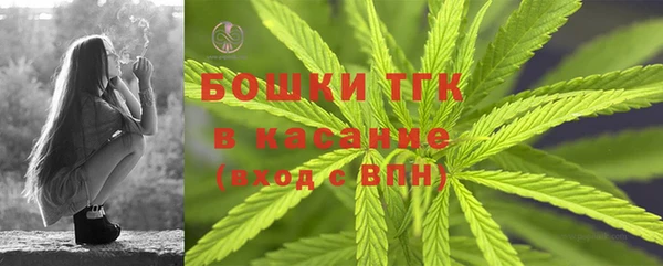 гидропоника Горно-Алтайск