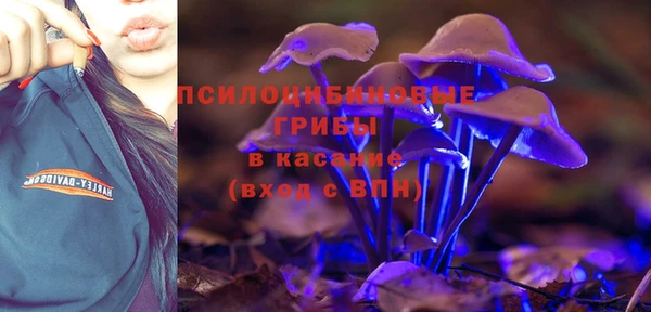 гидропоника Горно-Алтайск