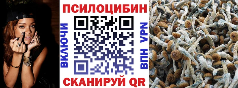 Галлюциногенные грибы Psilocybe  Купить где  Красноуральск 